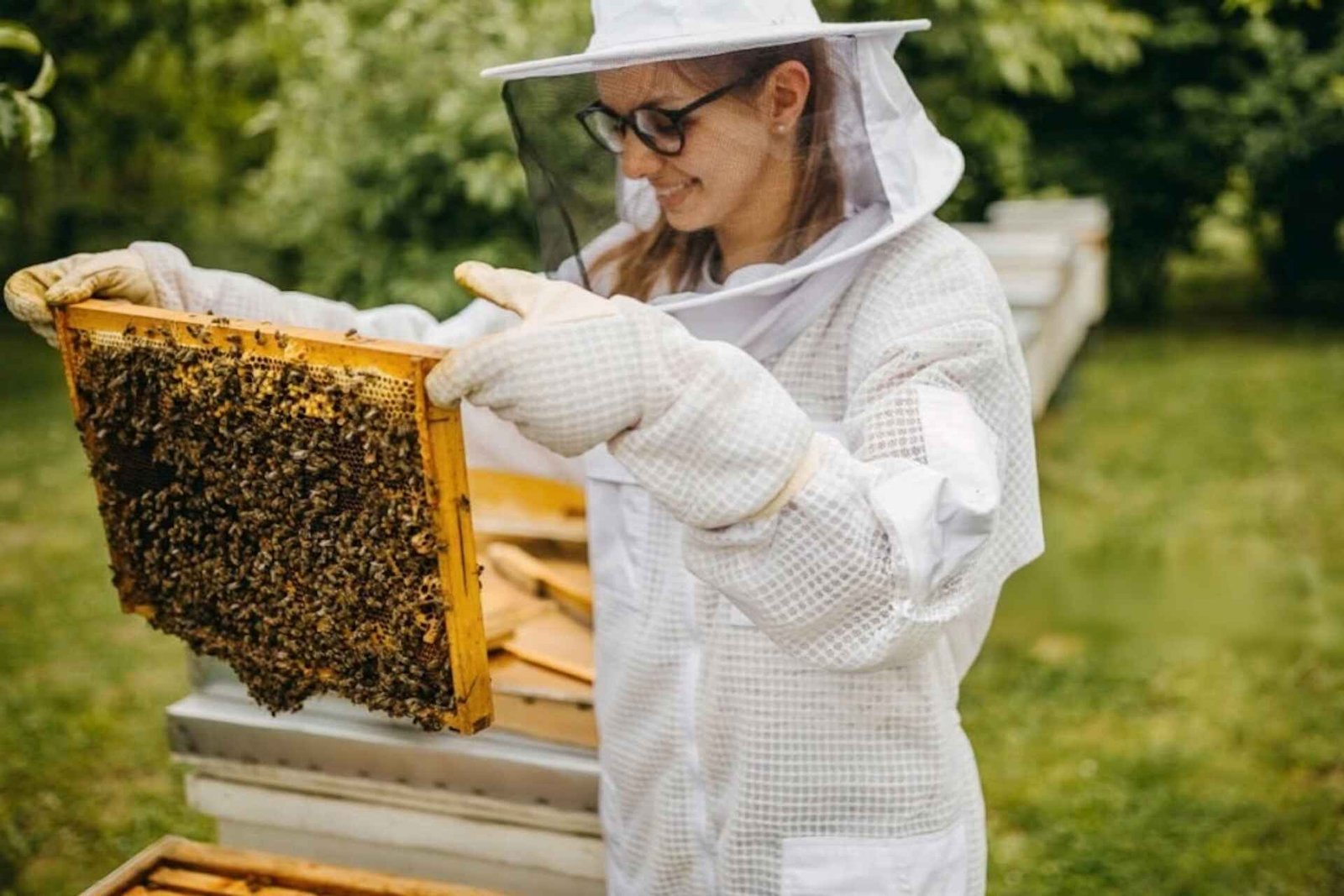 Api-queen.com-pčelar-Irena